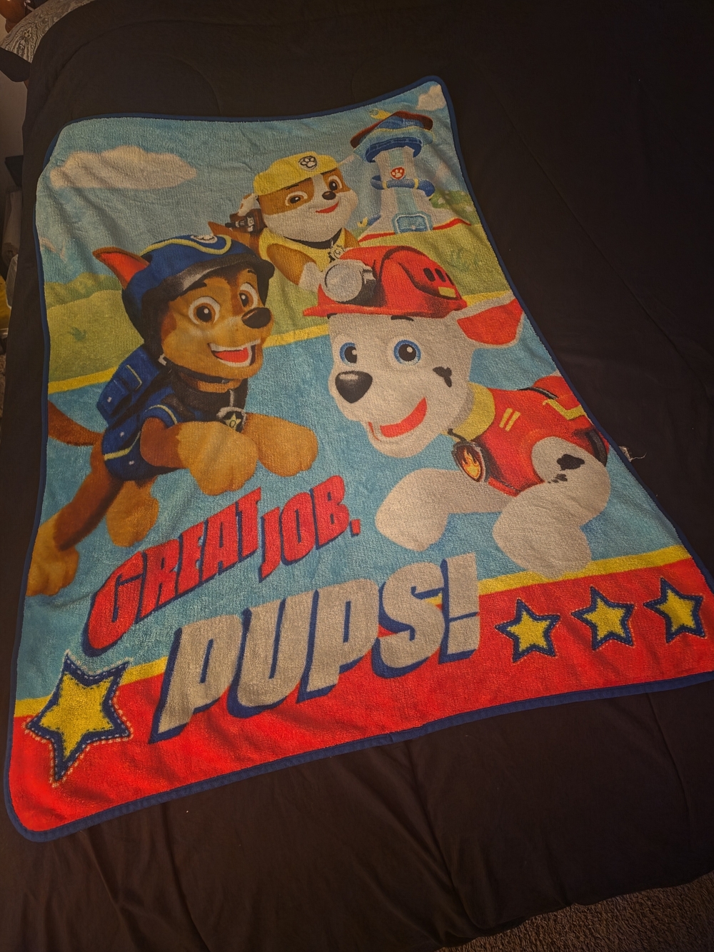 Kids Paw Patrol Fleece Throw Blanket